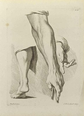 Nicholas Cochin, Anatomy Studies, Etching, 1755-ZCI-2029340