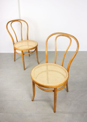 No. 18 Wide Chairs by Michael Thonet, Set of 2-HGJ-1282739