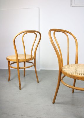 No. 18 Wide Chairs by Michael Thonet, Set of 2-HGJ-1282739