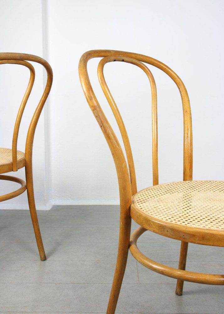 No. 18 Wide Chairs by Michael Thonet, Set of 2