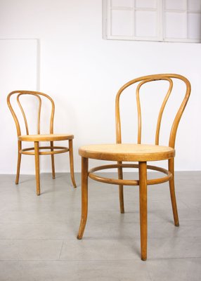 No. 18 Wide Chairs by Michael Thonet, Set of 2-HGJ-1282739