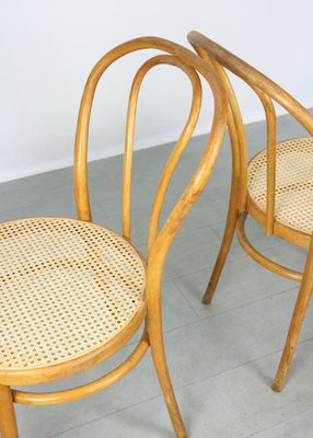 No. 18 Wide Chairs by Michael Thonet, Set of 2-HGJ-1282739