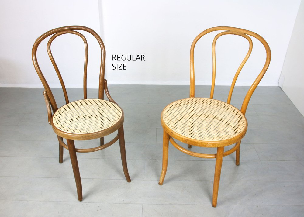 No. 18 Wide Chairs by Michael Thonet, Set of 2