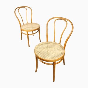 No. 18 Wide Chairs by Michael Thonet, Set of 2-HGJ-1282739