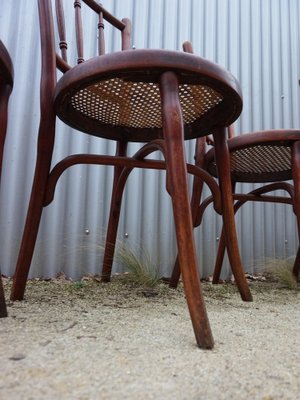 No. 66 Bistro Dining Chairs from Thonet, Vienna, Austria, 1910s, Set of 4-EA-1807312