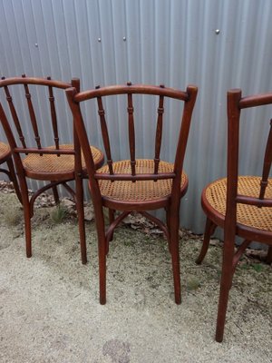 No. 66 Bistro Dining Chairs from Thonet, Vienna, Austria, 1910s, Set of 4-EA-1807312