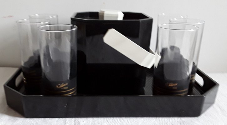 Noblesse Picnic Set of Tray, Black Plastic Ice Cube Trays & Glasses from Rastal, 1970s, Set of 8-HOI-958702