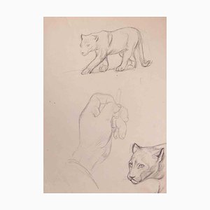 Norbert Meyre, Felines, Drawing in Pencil, Early 20th Century-ZCI-1384963