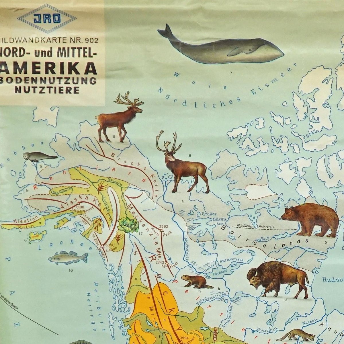 North America Land Use and Livestock Picture Map, 1970s