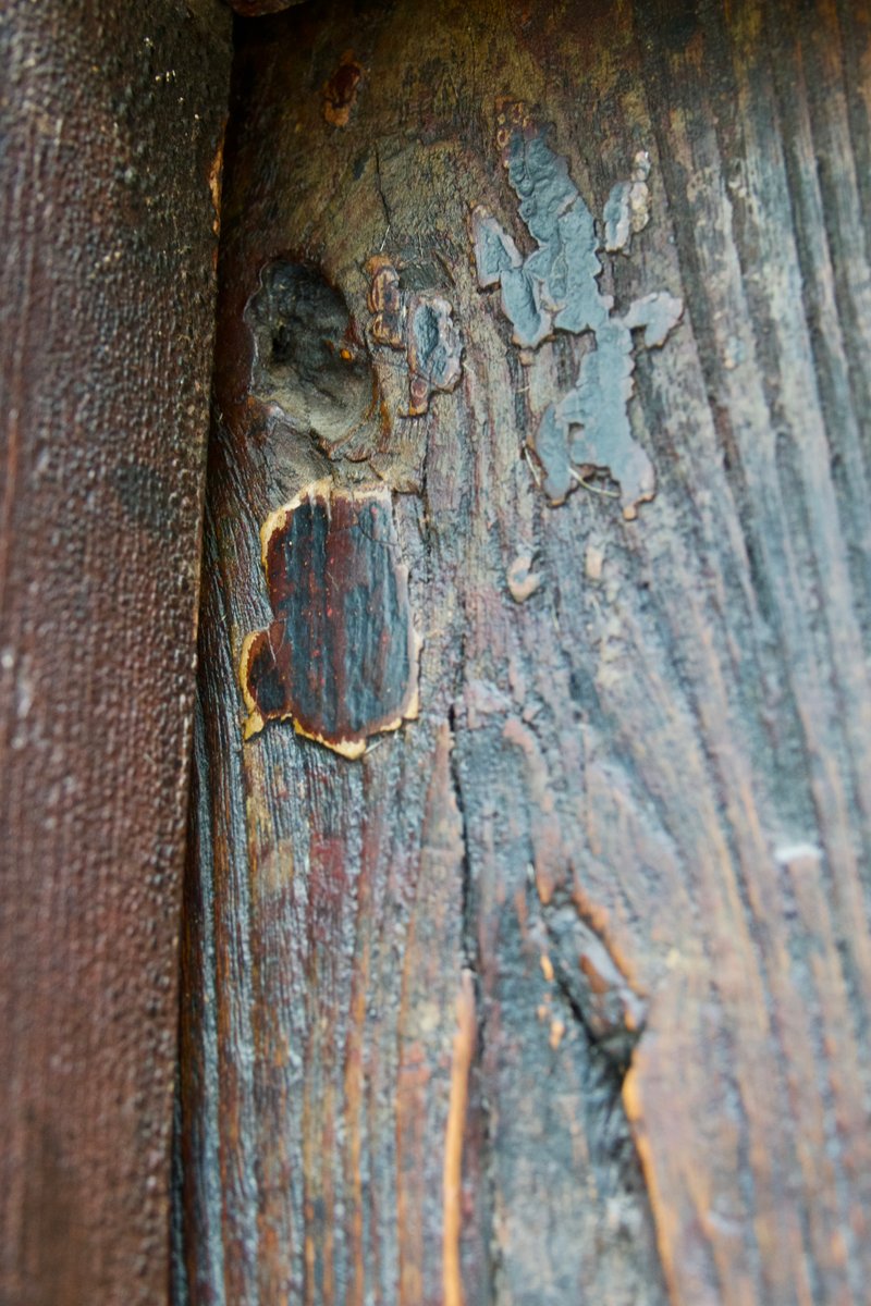 Northern Chinese Courtyard Door