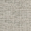 17 Tortora