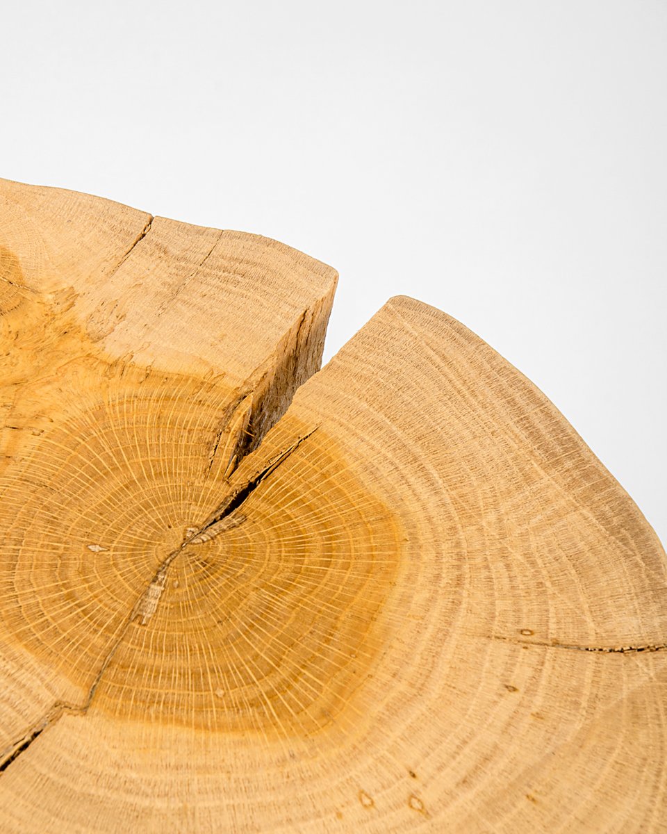 Oak and Acacia Stool by Agustín Bastón Soage