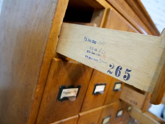 Oak Cabinet with 40 Drawers, Germany, 1930s or 1940s-QFD-1048756