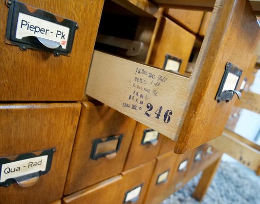 Oak Cabinet with 40 Drawers, Germany, 1930s or 1940s-QFD-1048756