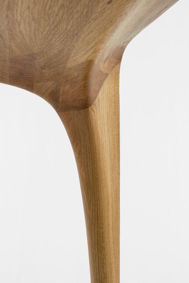 Oak Table Spline by Maxime Goléo