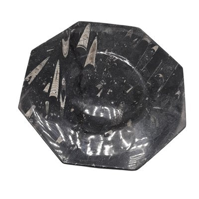 Octagonal Jurassic Black Marble Fossil, Set of 4-TCS-1123882