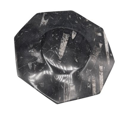 Octagonal Jurassic Black Marble Fossil, Set of 4-TCS-1123882