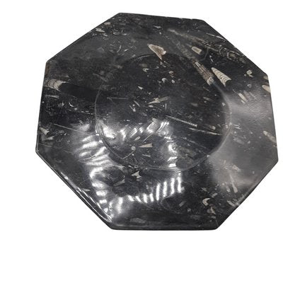 Octagonal Jurassic Black Marble Fossil, Set of 4-TCS-1123882