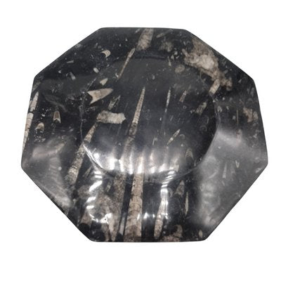 Octagonal Jurassic Black Marble Fossil, Set of 4-TCS-1123882