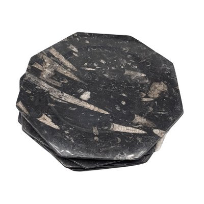 Octagonal Jurassic Black Marble Fossil, Set of 4-TCS-1123882