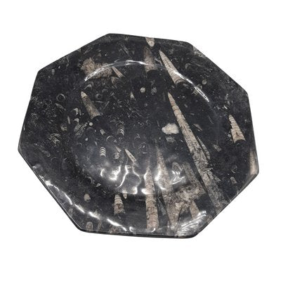 Octagonal Jurassic Black Marble Fossil, Set of 4-TCS-1123882