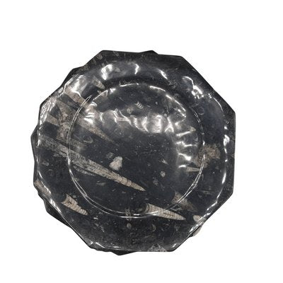 Octagonal Jurassic Black Marble Fossil, Set of 4-TCS-1123882