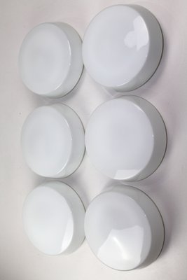 Opal Glass Ceiling or Wall Lamps from RZB Rudolf Zimmermann Bamberg, 1950s, Set of 6-ZWH-666463