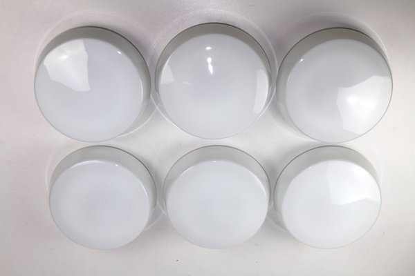 Opal Glass Ceiling or Wall Lamps from RZB Rudolf Zimmermann Bamberg, 1950s, Set of 6-ZWH-666463