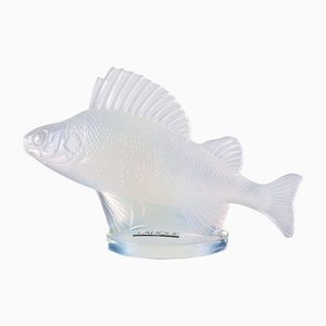 Opalescent Crystal Perche Fish Mascot or Paperweight by René Lalique, France-LBS-1378264