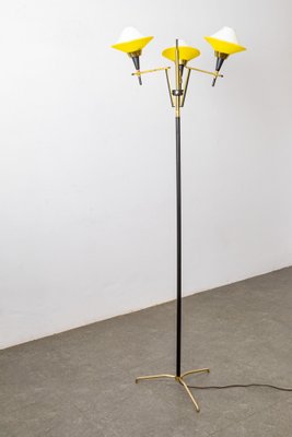 Opaline and Brass Glass Ground Lamp, Italy, 1950s-LMR-1367072