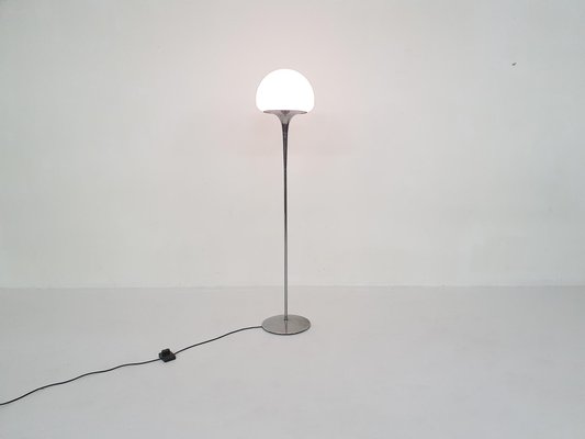 Opaline Glass and Chrome Floor Lamp by Goffredo Reggiani, Italy, 1960s-ZO-998826