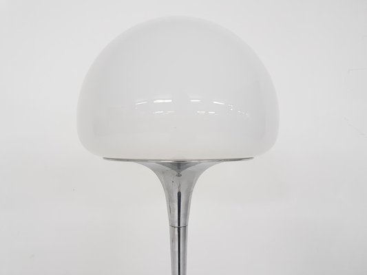 Opaline Glass and Chrome Floor Lamp by Goffredo Reggiani, Italy, 1960s-ZO-998826