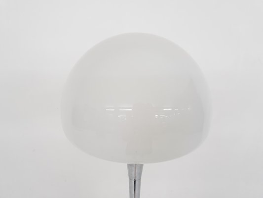 Opaline Glass and Chrome Floor Lamp by Goffredo Reggiani, Italy, 1960s-ZO-998826