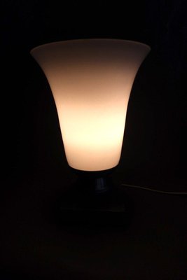 Opaline Glass Tulip Lamp, 20th Century-WSV-1287186