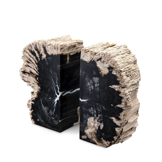 Opiol Petrified Wood Bookends by Pacific Compagnie Collection, Set of 2