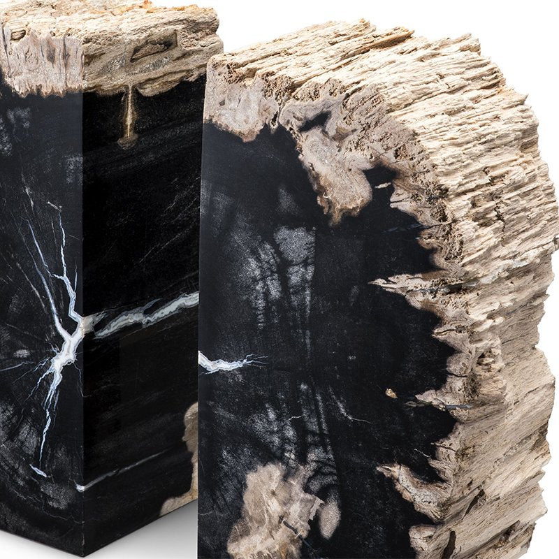 Opiol Petrified Wood Bookends by Pacific Compagnie Collection, Set of 2