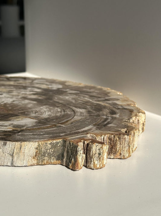 Organic Dish in Beige Petrified Fold Empat