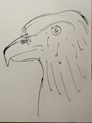 Pablo Picasso, Hawk, Original Lithograph, 1957-NRC-1787721