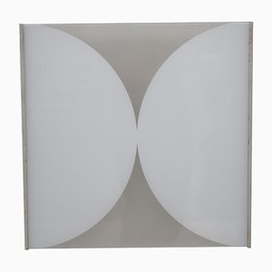 Painted Aluminum and Glass Wall Lights-RCE-1324017