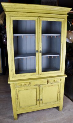 Painted Cupboard, 1950s-ROJ-591454