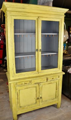 Painted Cupboard, 1950s-ROJ-591454