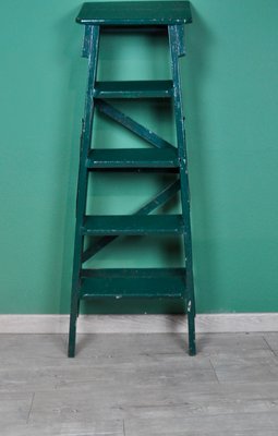 Painted Ladder, 1960s-ROJ-604657