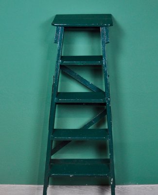 Painted Ladder, 1960s