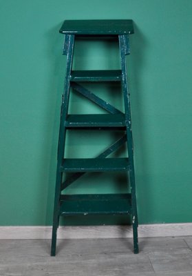 Painted Ladder, 1960s-ROJ-604657