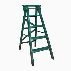 Painted Ladder, 1960s-ROJ-604657