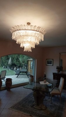 Palmette Chandelier by Barovier & Toso, 1960-WJT-2017002