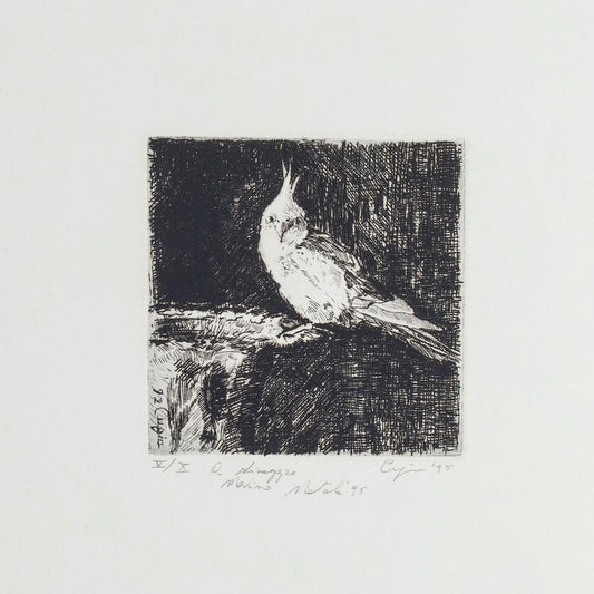 Parrot - Original Etching on Paper by Valerio Cugia - 1995 1995