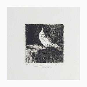 Parrot - Original Etching on Paper by Valerio Cugia - 1995 1995-ZCI-768601