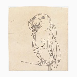 Parrot - Original Pencil on Paper by G. Galantara - Late 19th Century Late 19th Century-ZCI-779341