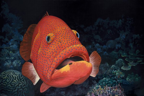 Patrick Chevailler, #460 Coney Grouper, 2010